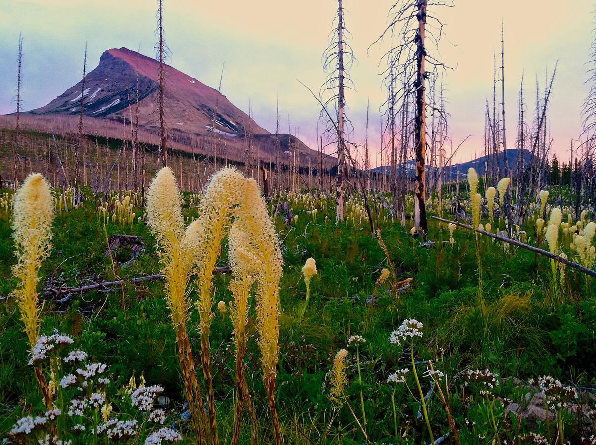 Great Northern Resort Уэст-Глейшер Экстерьер фото